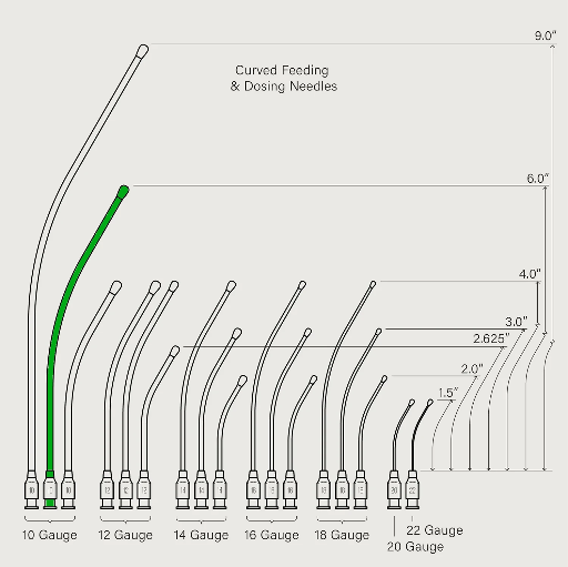 [FNC106] KVP Feeding Syringe, Curved: 6" 10g x 6.4mm tip (2/pack)