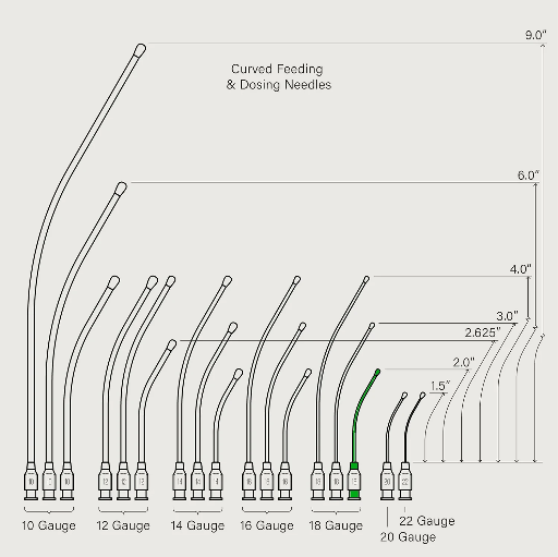 [FNC182] KVP Feeding Syringe, Curved: 2" 18g x 2.4mm tip (2/pack)